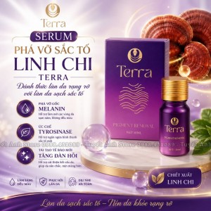 PHÁ VỠ SẮC TỐ LINH CHI TERRA